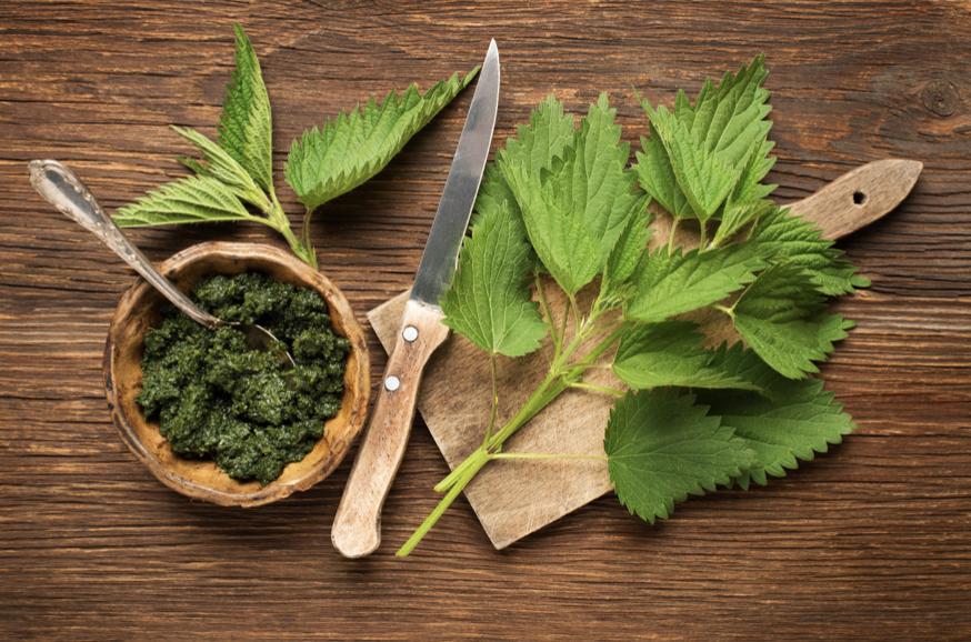 DIY Nettle Pesto