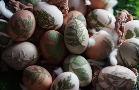 Dyed Botanical Eggs